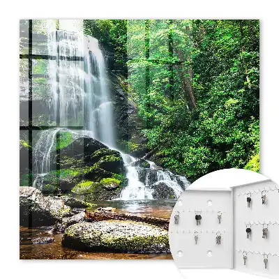 Une oasis naturelle de verdure luxuriante
