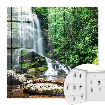 Une oasis naturelle de verdure luxuriante