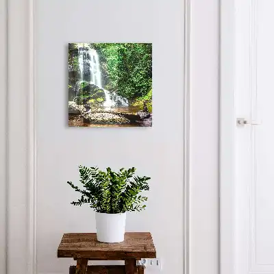 Une oasis naturelle de verdure luxuriante