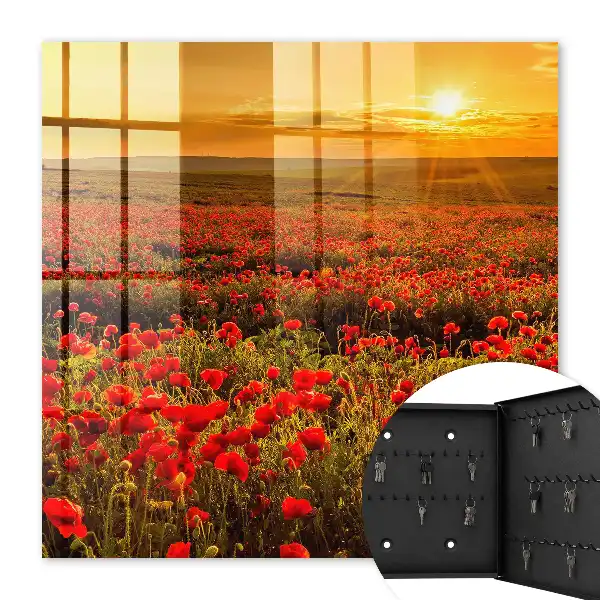 Champs de coquelicots au coucher du soleil