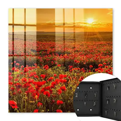 Champs de coquelicots au coucher du soleil