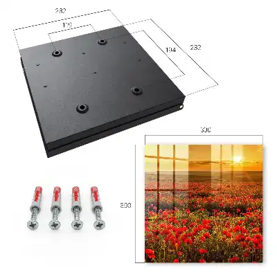 Champs de coquelicots au coucher du soleil