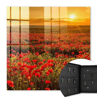 Champs de coquelicots au coucher du soleil