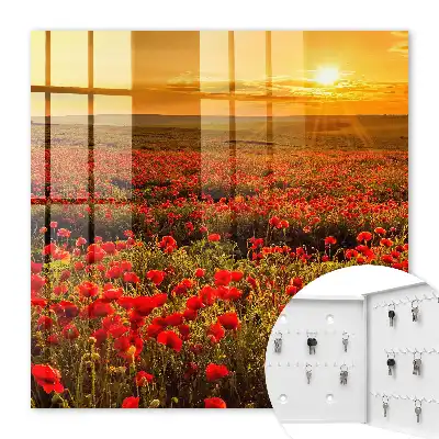 Champs de coquelicots au coucher du soleil
