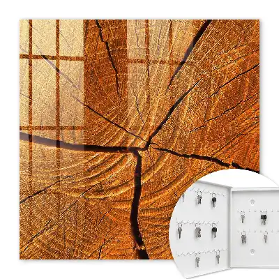 Grain de bois