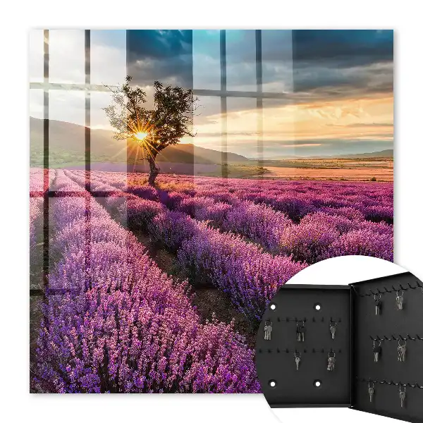 Coucher de soleil lavande