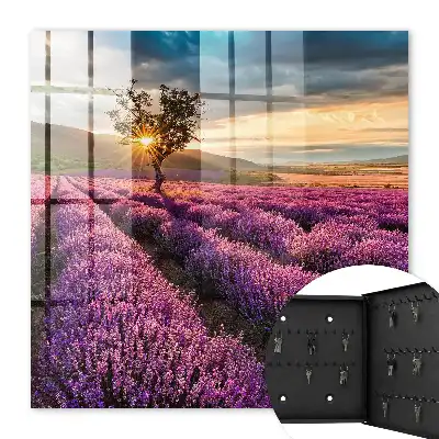 Coucher de soleil lavande