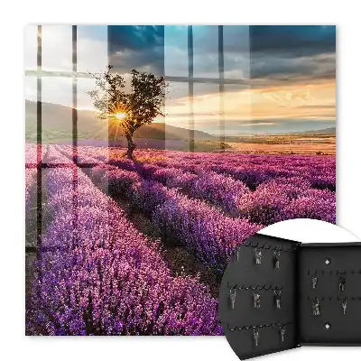 Coucher de soleil lavande