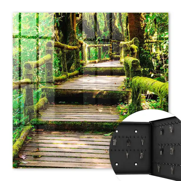 Pont forestier dans la forêt verte
