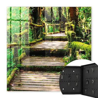 Pont forestier dans la forêt verte