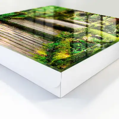 Pont forestier dans la forêt verte