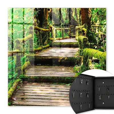 Pont forestier dans la forêt verte