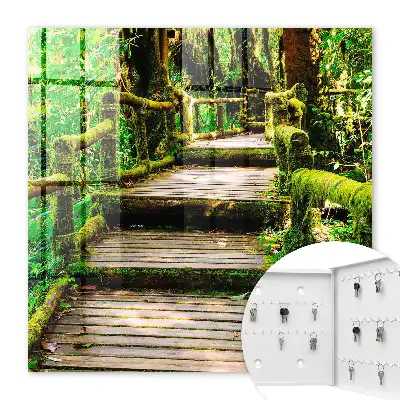 Pont forestier dans la forêt verte