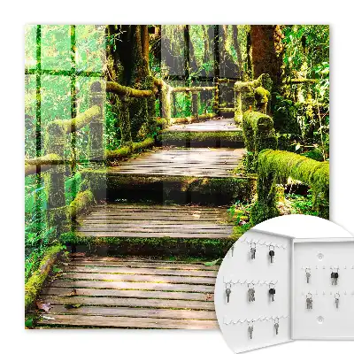 Pont forestier dans la forêt verte