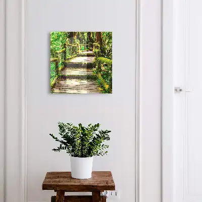 Pont forestier dans la forêt verte