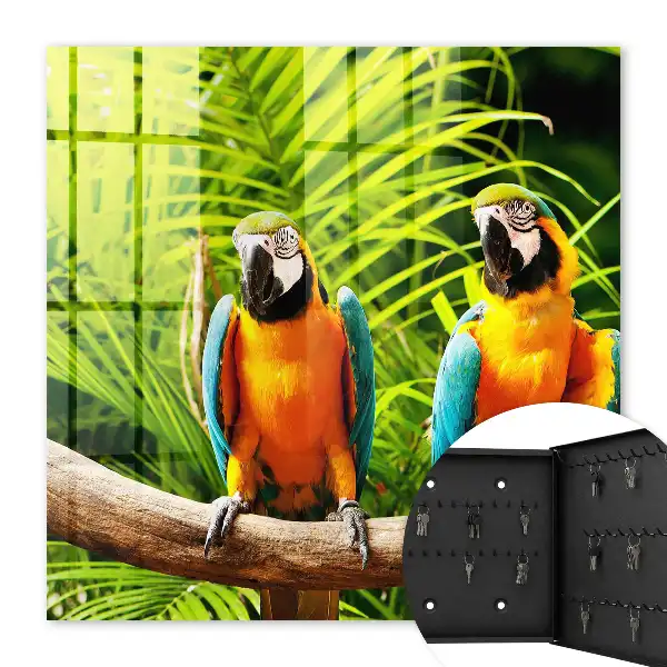 Oiseaux et feuilles tropicales vertes