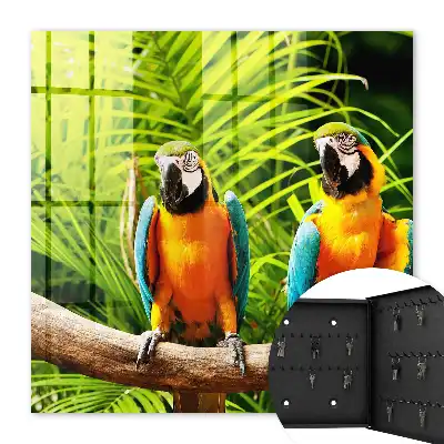 Oiseaux et feuilles tropicales vertes