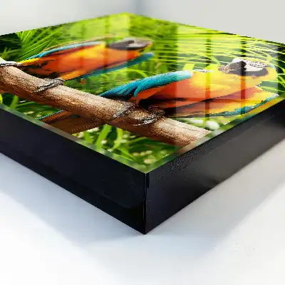 Oiseaux et feuilles tropicales vertes