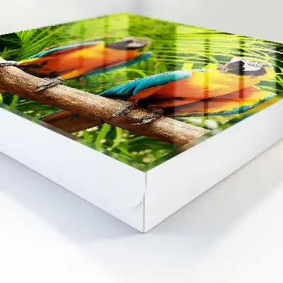 Oiseaux et feuilles tropicales vertes
