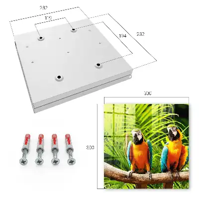 Oiseaux et feuilles tropicales vertes
