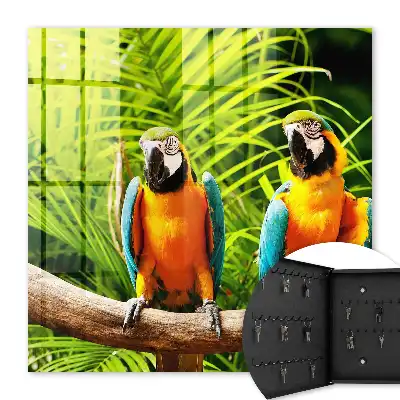 Oiseaux et feuilles tropicales vertes