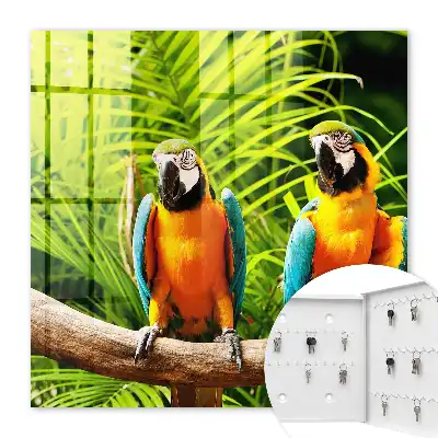Oiseaux et feuilles tropicales vertes