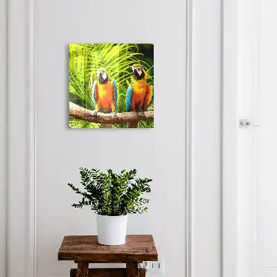 Oiseaux et feuilles tropicales vertes