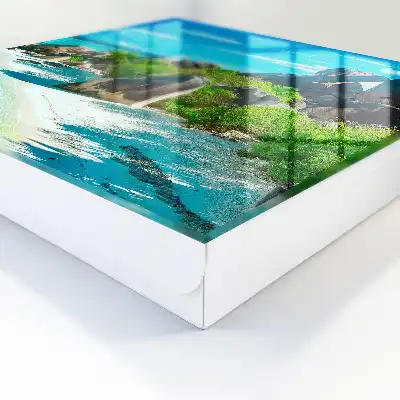 Une plage tropicale à la végétation luxuriante