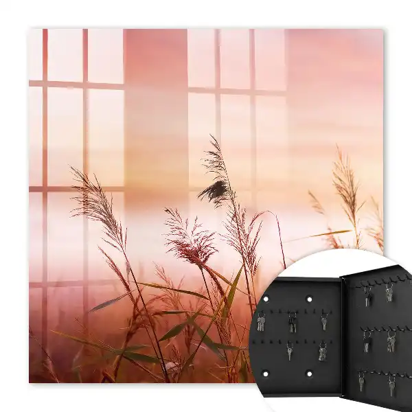 Herbes à l'aube dans des tons pastel