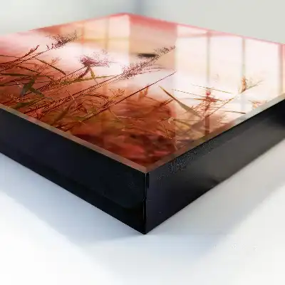 Herbes à l'aube dans des tons pastel