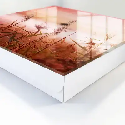 Herbes à l'aube dans des tons pastel