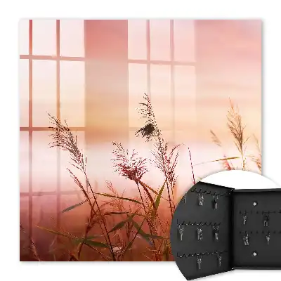 Herbes à l'aube dans des tons pastel