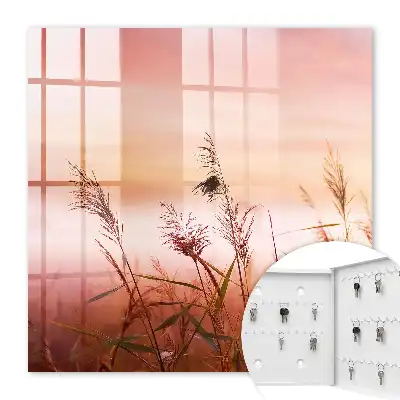 Herbes à l'aube dans des tons pastel