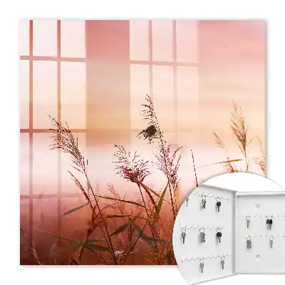Herbes à l'aube dans des tons pastel