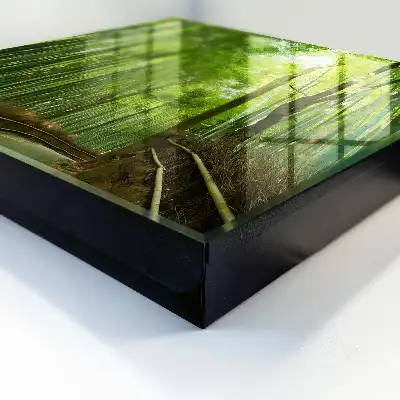 Chemin de table en bambou harmonie verte