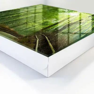 Chemin de table en bambou harmonie verte