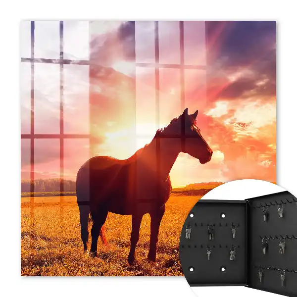 Un cheval au coucher du soleil