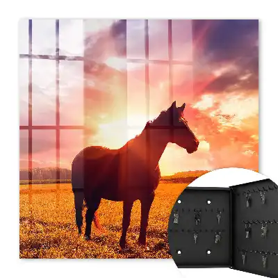 Un cheval au coucher du soleil