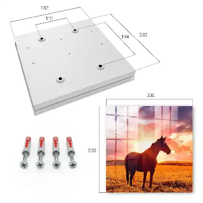 Un cheval au coucher du soleil