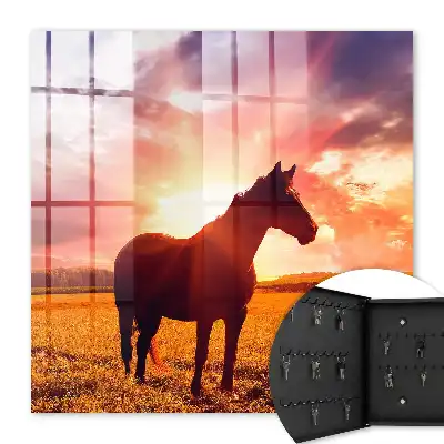 Un cheval au coucher du soleil
