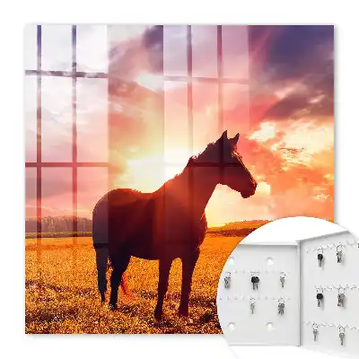 Un cheval au coucher du soleil
