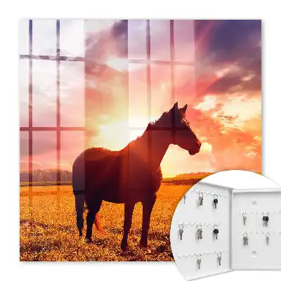 Un cheval au coucher du soleil
