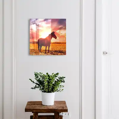 Un cheval au coucher du soleil