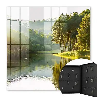 Paysage verdoyant d'arbres