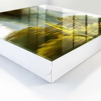 Paysage verdoyant d'arbres