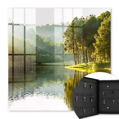 Paysage verdoyant d'arbres