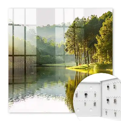 Paysage verdoyant d'arbres