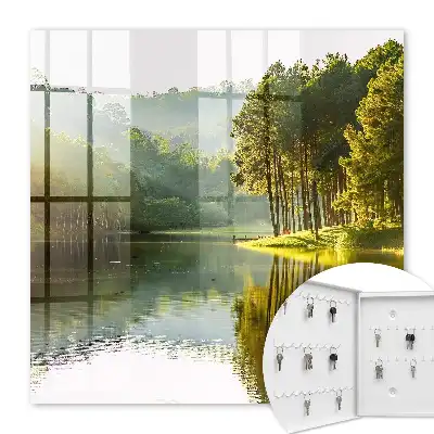 Paysage verdoyant d'arbres