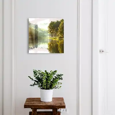 Paysage verdoyant d'arbres