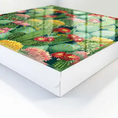Jardin coloré sur fond sombre